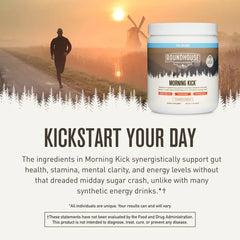 Roundhouse Provisions Morning Kick Strawberry Lemonade 30 Serving 9.1 oz (Pack of 3)